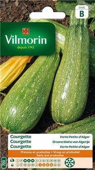 Courgette Verte Petite Alger (Vilm)
