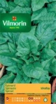 Epinard De Viroflay  (Vilm)