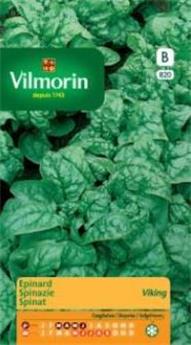 Epinard Viking  (Vilm)
