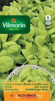 Laitue À Couper Blonde À Feuilles Lisses (Vilm)