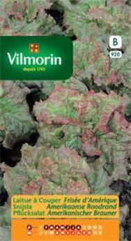 Laitue À Couper Frisé D´Amérique (Vilm)