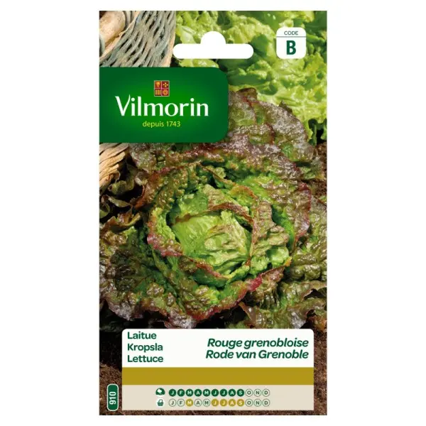 Laitue Batavia Grenbloise (Vilm)
