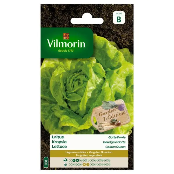 Laitue Gotte Dorée (Vilm)