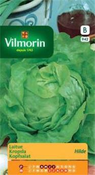 Laitue Hilde (Vilm)