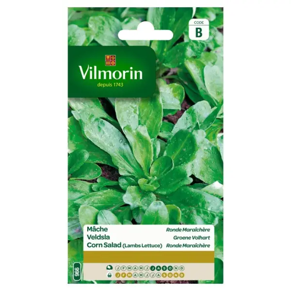 Mâche Ronde Maraîchère (Vilm)