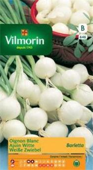 Oignon Blanc De Barletta  (Vilm)