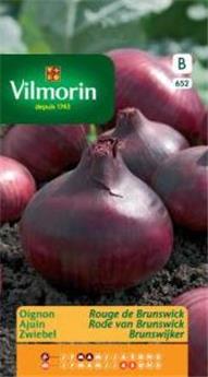 Oignon Rouge De Brunswick (Vilm)