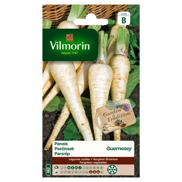 Panais De Guernesey  (Vilm)