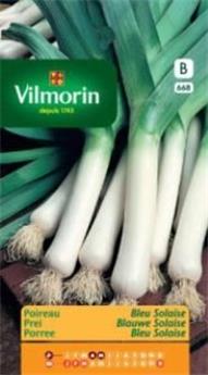 Poireau Bleu De Solaise (Vilm)
