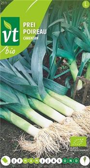 Poireau De Carentan (Vilm)