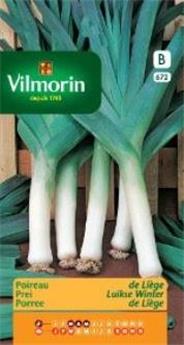Poireau De Liège (Vilm)