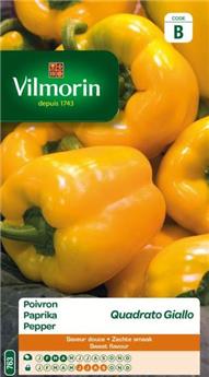 Poivron Quadrato Giallo (Vilm)