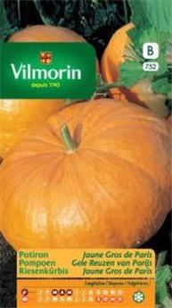 Potiron Jaune Gros De Paris (Vilm)