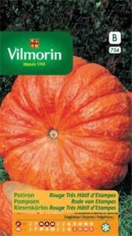 Potiron Rouge Vif D´Etampes (Vilm)