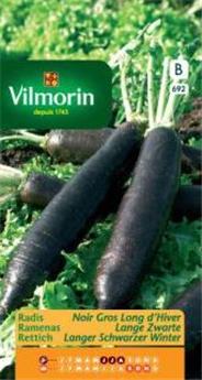Radis Noir Gros Long D´Hiver (Vilm)