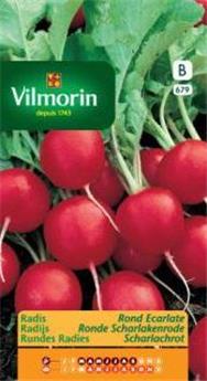 Radis Rond Ecarlate  (Vilm)