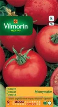 Tomate Moneymaker  (Vilm)