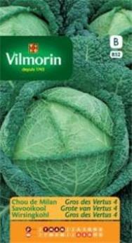 Chou De Milan Gros De Vertus  (Vilm)