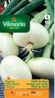 Oignon Blanc Hâtif Paris (Vilm)