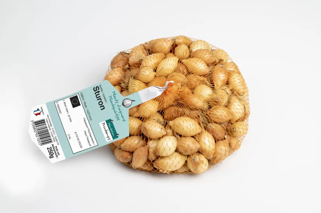 Oignon A Planter Sturon Filet 250 Gr