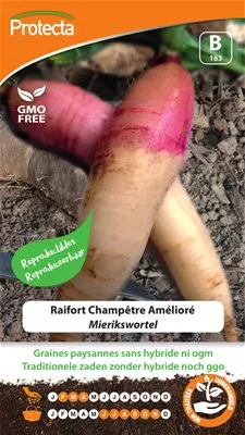 Raifort Champêtre Amélioré (Protecta)