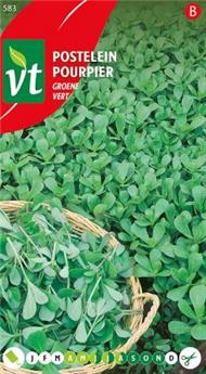 Pourpier Vert (VT)