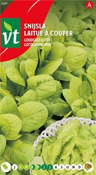 Laitue A Couper Gotte Jaune D´Or (VT)