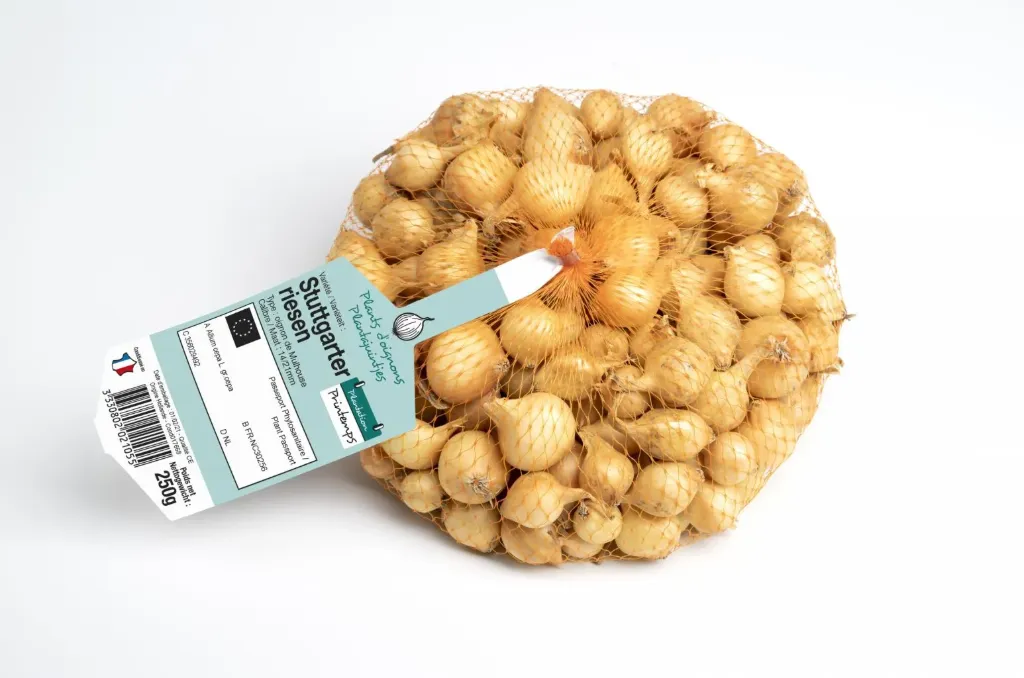 Oignon Stuttgarter 250 Gr