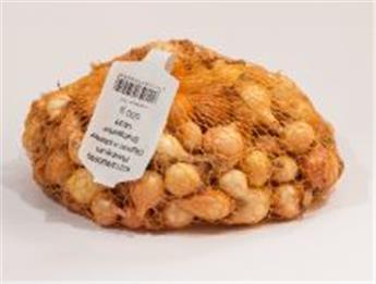 Oignon Stuttgarter 250 Gr