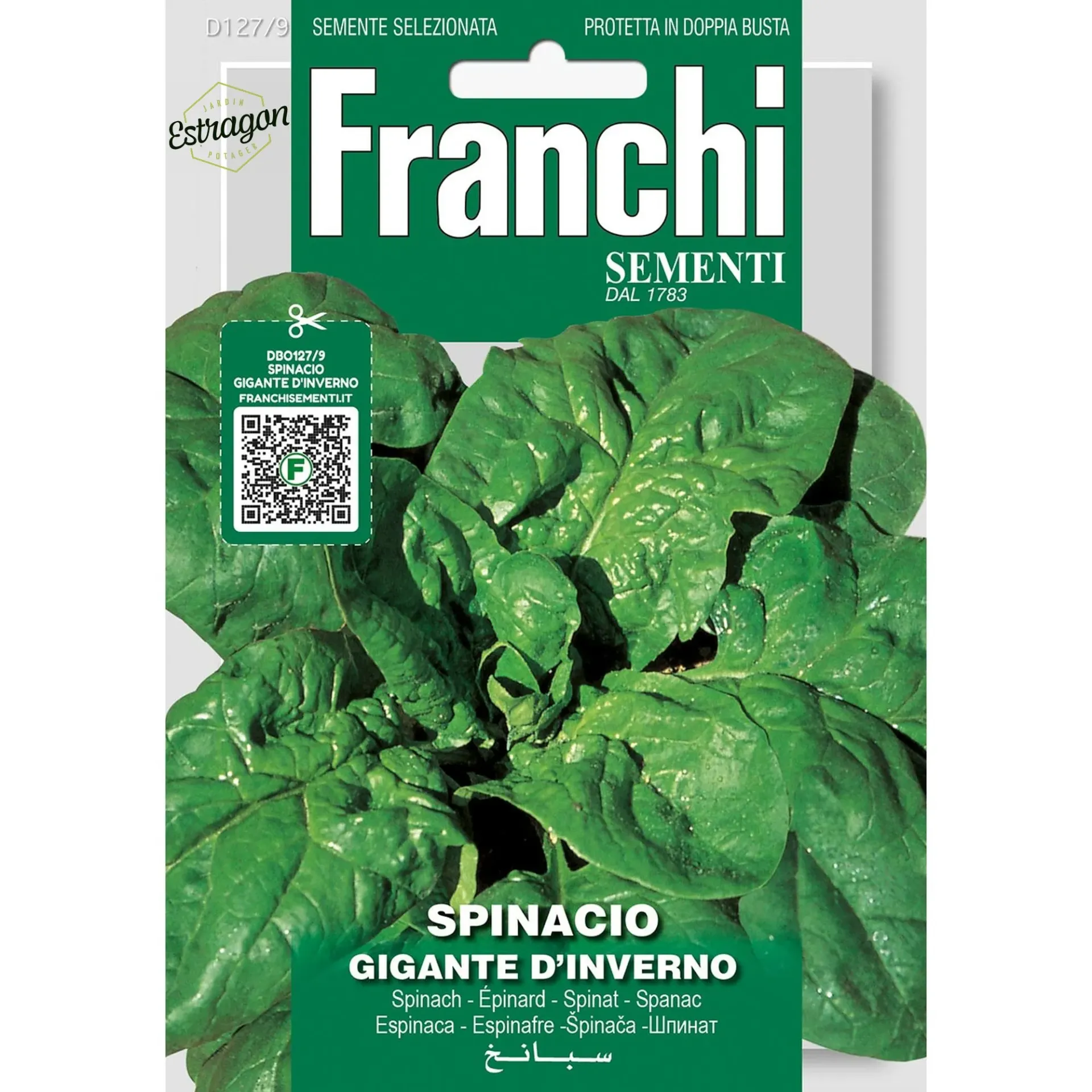 Epinard geant d´hiver (Franchi)