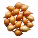 Oignon Shenshyu Yellow 250 g : à planter en automne.