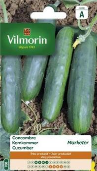 Concombre Marketer  (Vilm)