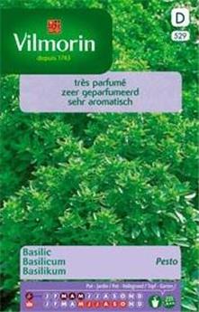 Basilic Pesto (Vilm)