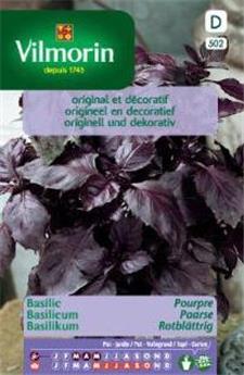 Basilic Pourpre  (Vilm)