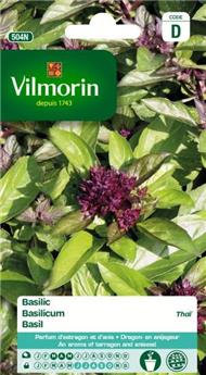 Basilic Thai (Vilm)