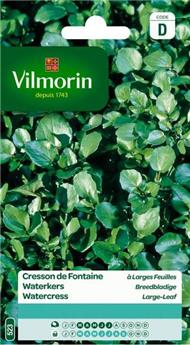 Cresson De Fontaine (Vilm)