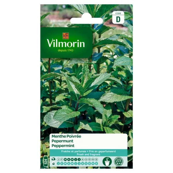 Menthe Poivrée  (Vilm)