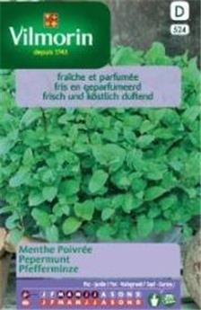 Menthe Poivrée  (Vilm)