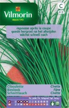 Ciboulette Civette (Vilm)