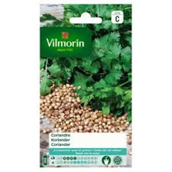 Coriandre Cultivée  (Vilm)