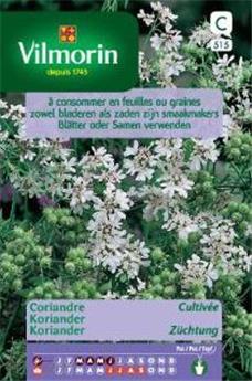 Coriandre Cultivée  (Vilm)