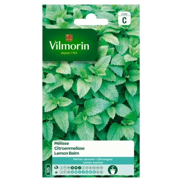 Melisse Officinale (Vilm)