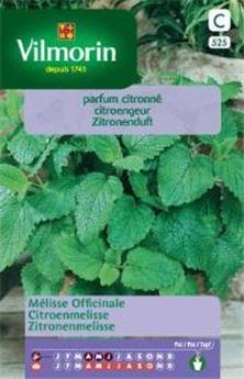 Melisse Officinale (Vilm)