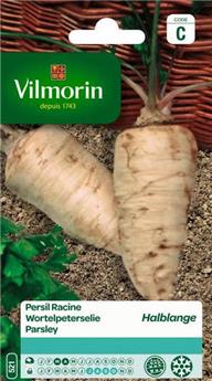 Persil Racine Halblange  (Vilm)