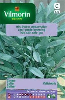 Sauge Officinale  (Vilm)