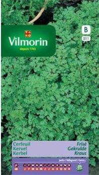 Cerfeuil Frisé  (Vilm)