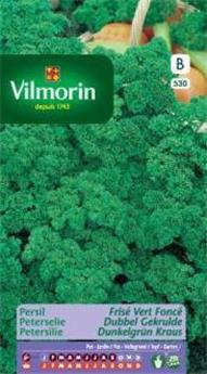 Persil Frisé Vert Foncé  (Vilm)