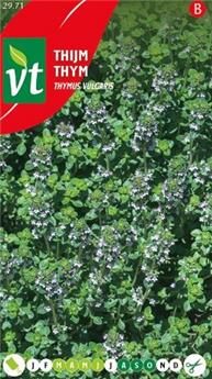 Thym D´Hiver (VT)