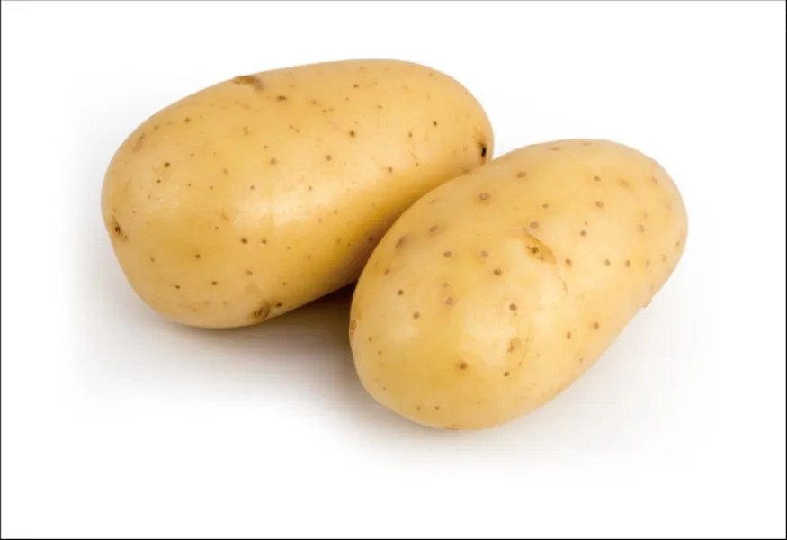 [145412] PDT Allians 1,5kg  Mi-Précoce Cal 25 30 mm