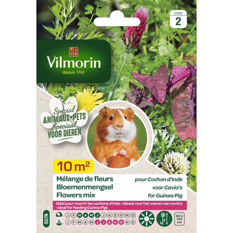 Sachet De Graines Mélanges De Fleurs Pour Cochon D'Inde 10m²
